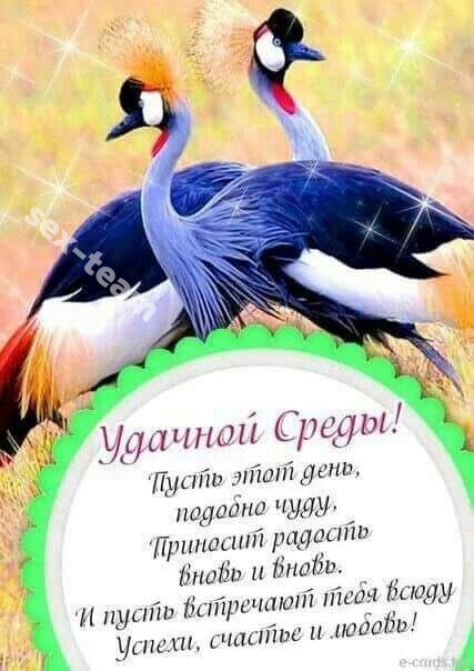 Алиса